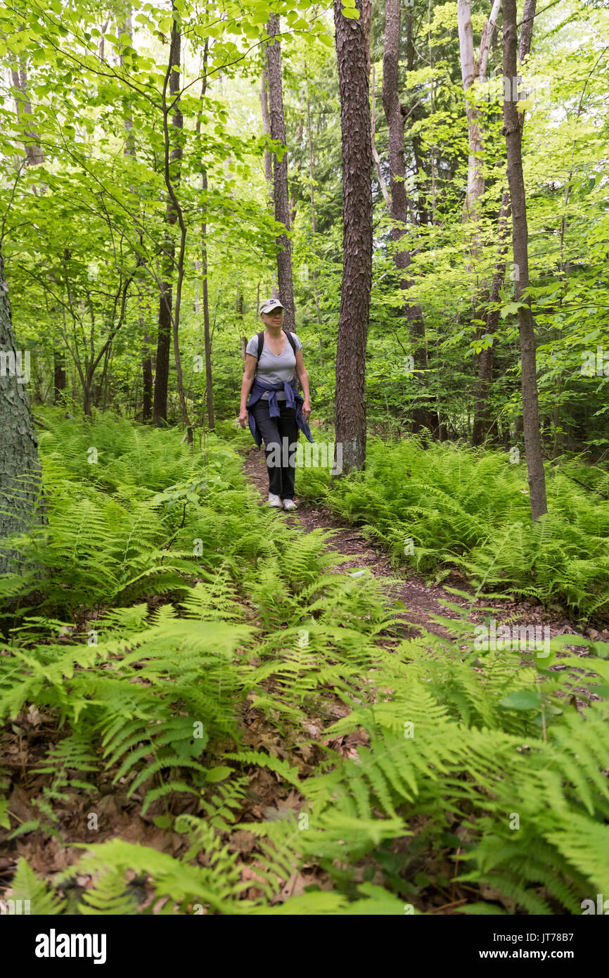 L'Indiana, Ohio - Susan Newell, 68, randonnées par fougères sur un sentier en jaune Creek State Park. Banque D'Images