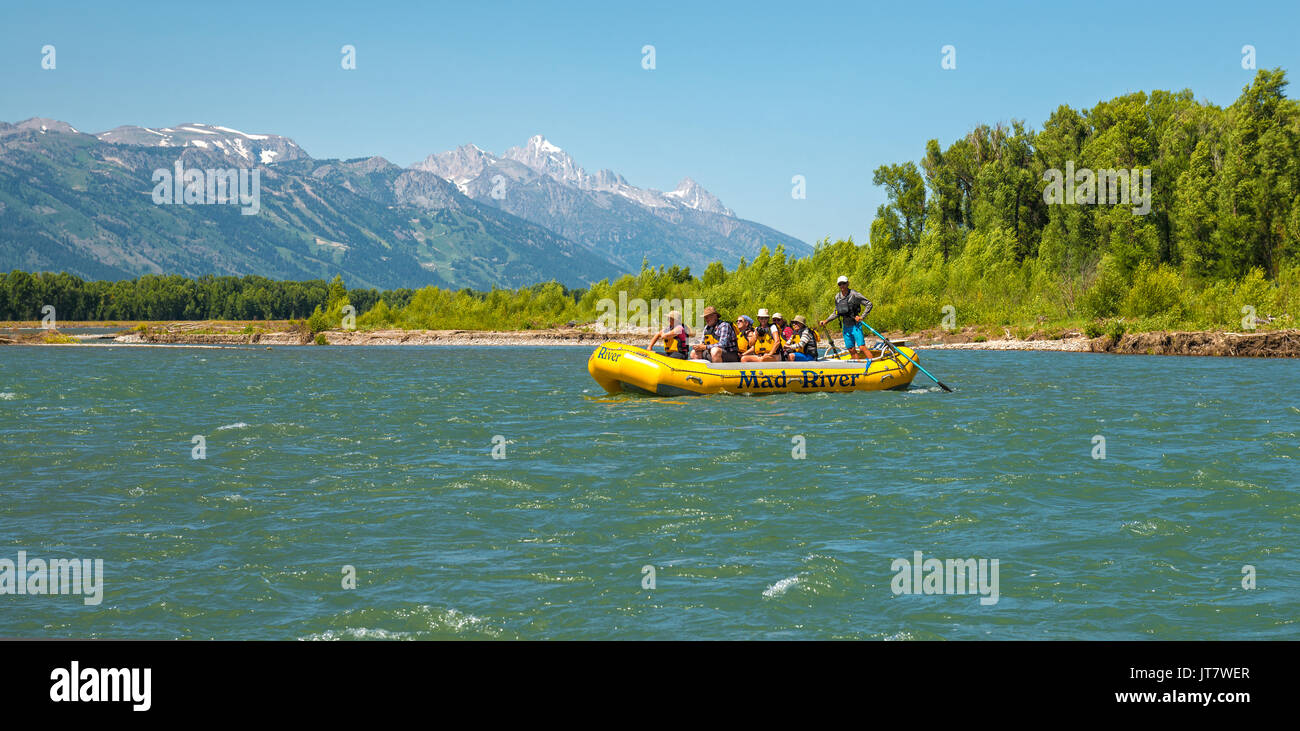 Un groupe de touristes appréciant un tour de rafting sur la Snake River avec la chaîne de montagnes du Grand Teton dans le fond près de Jackson Hole, Wyoming, USA. Banque D'Images