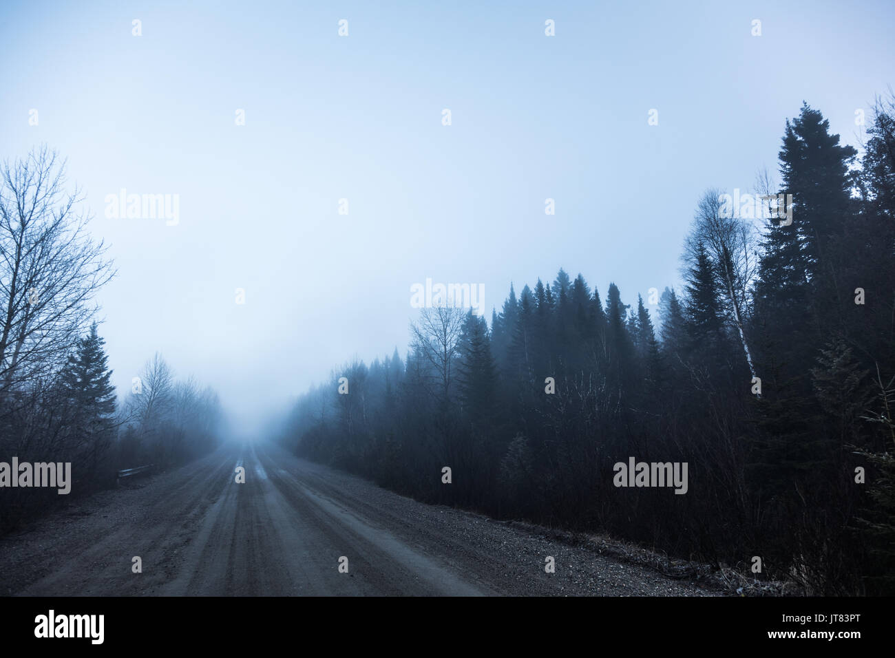 Brouillard fantasmagorique et mauvaise visibilité sur une route rurale en forêt durant l'hiver Banque D'Images