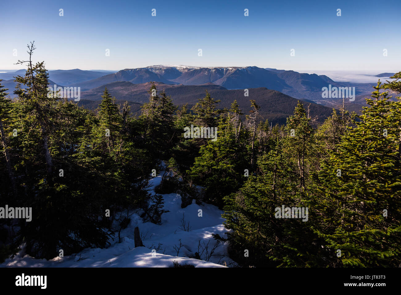 Vue de haut d'un chemin de randonnée dans la forêt de la montagne de Richardson au Québec, Canada Banque D'Images