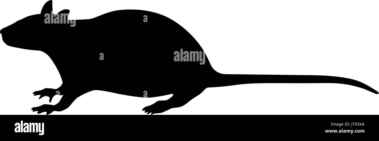 Vector illustration d'une silhouette noire rat Illustration de Vecteur
