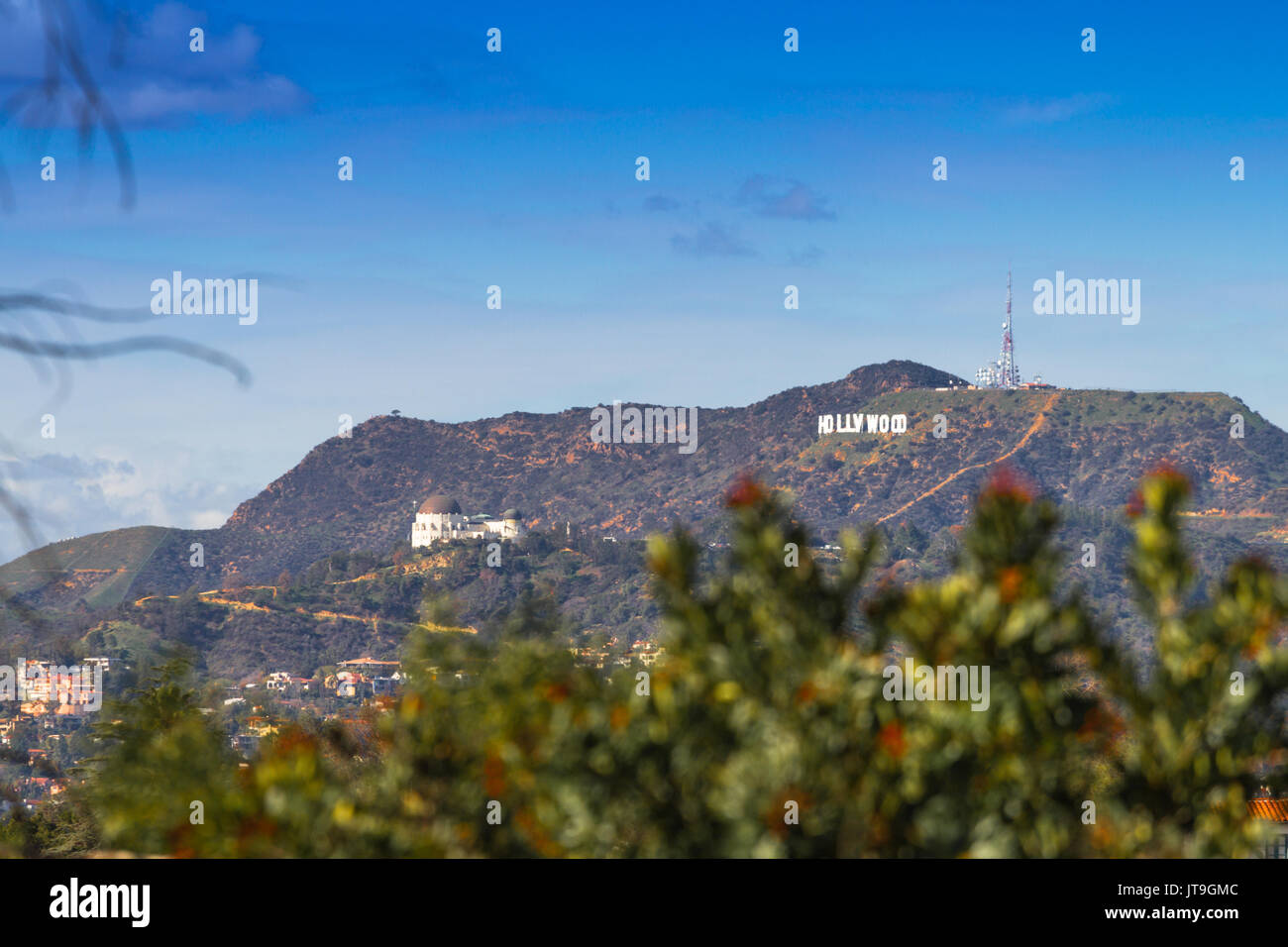 Le panneau Hollywood est un célèbre monument à Hollywood Hills région du mont Lee dans les montagnes de Santa Monica. Le panneau Hollywood surplombant la. Banque D'Images