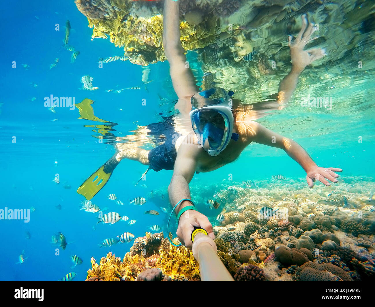 La plongée sous-marine nager dans tropiques exotiques paradis avec les poissons et les récifs coralliens, belle vue sur mer tropicale. Marsa Alam, Egypte. Vacatio vacances d'été Banque D'Images