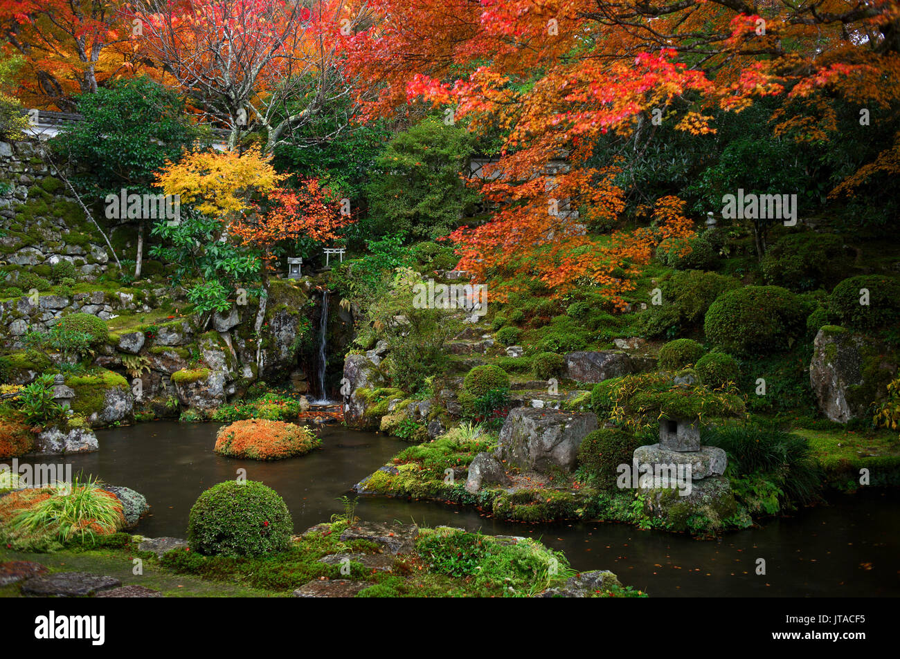 Jardin japonais en automne, la vallée d'Ohara, Kyoto, Japon, Asie Banque D'Images