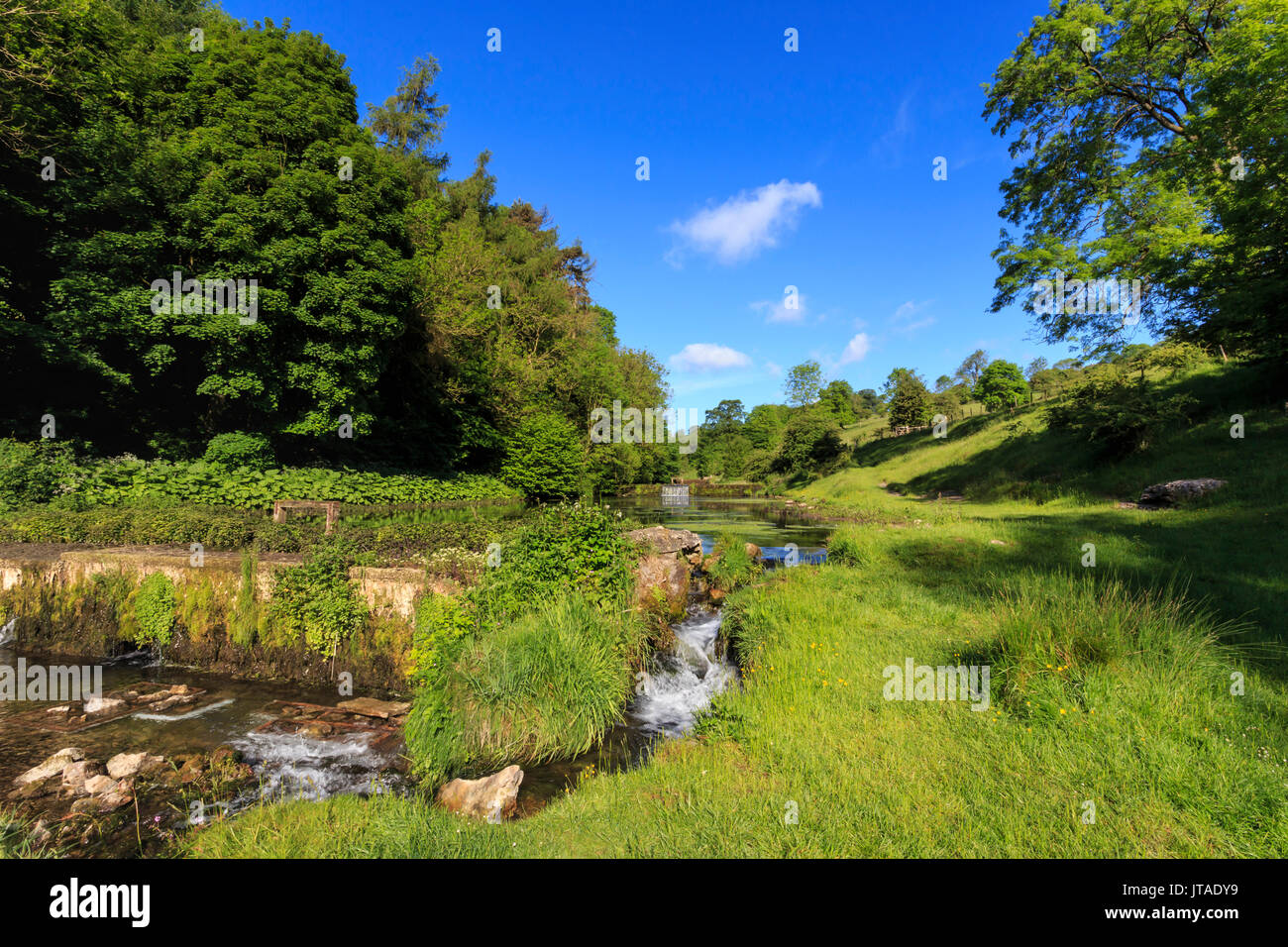 Lathkill Dale, près de Over Haddon et Attalens (Youlgrave), printemps, parc national de Peak District, Derbyshire, Angleterre, Royaume-Uni, Europe Banque D'Images