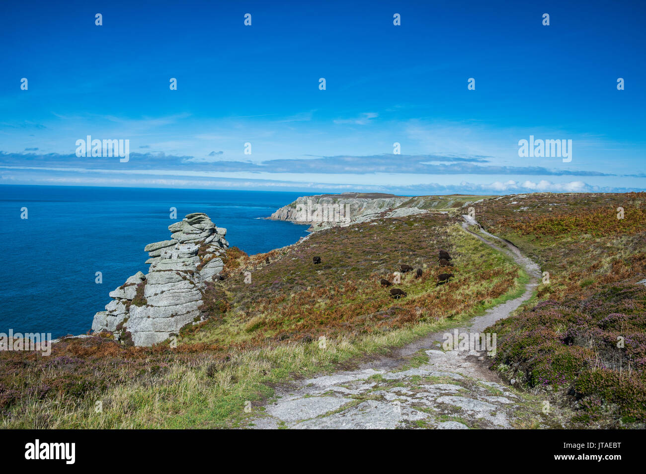Île de Lundy, Canal de Bristol, Devon, Angleterre, Royaume-Uni, Europe Banque D'Images