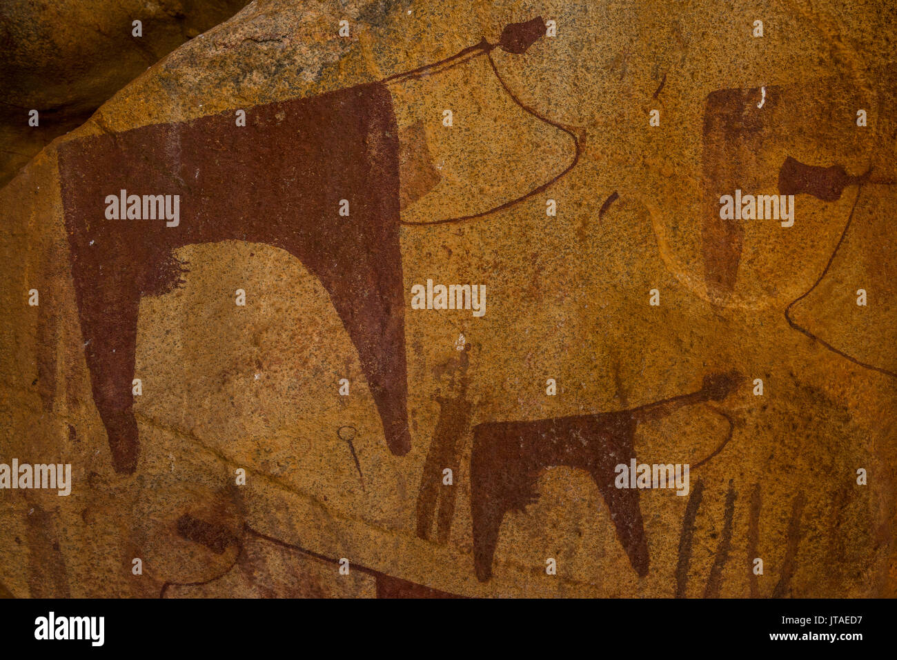 Peintures rupestres dans les grottes de Geel Lass, le Somaliland, la Somalie, l'Afrique Banque D'Images