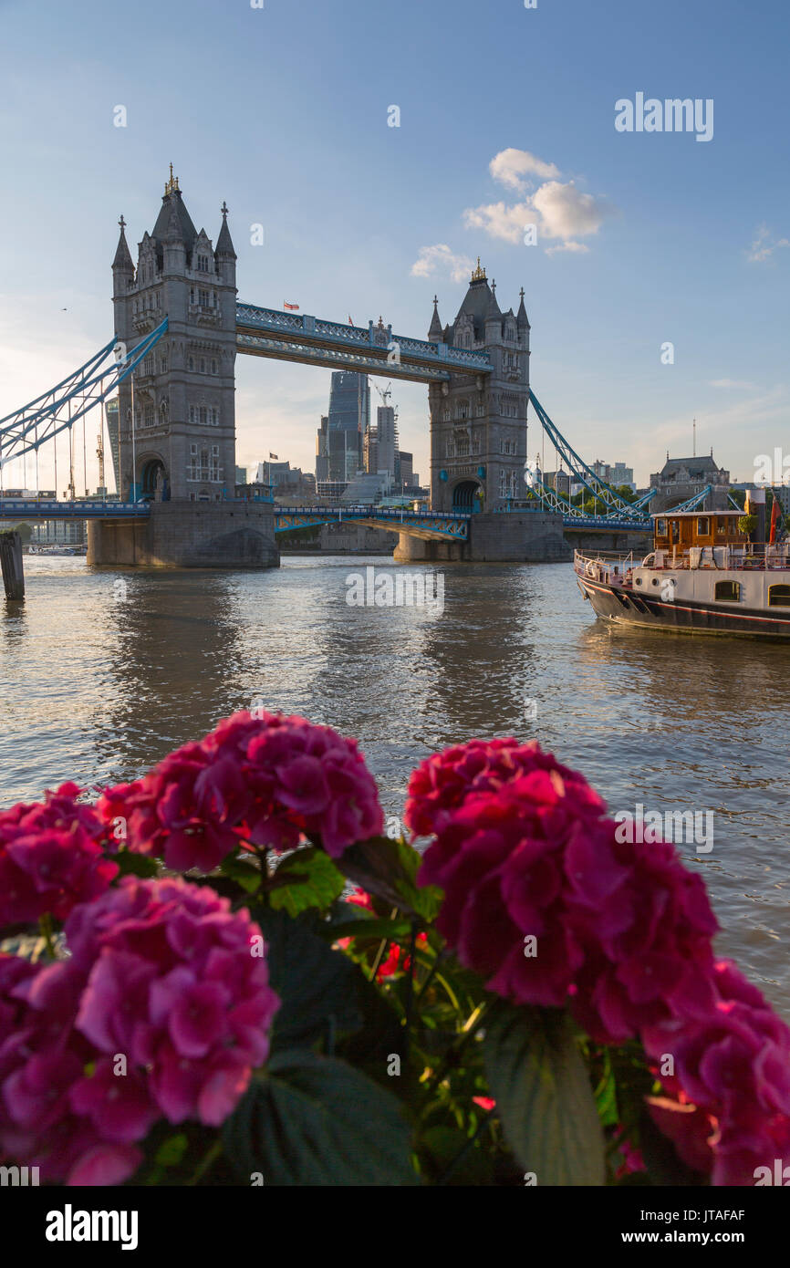 Tower Bridge et de la ville de Londres de Butler's Wharf, Londres, Angleterre, Royaume-Uni, Europe Banque D'Images