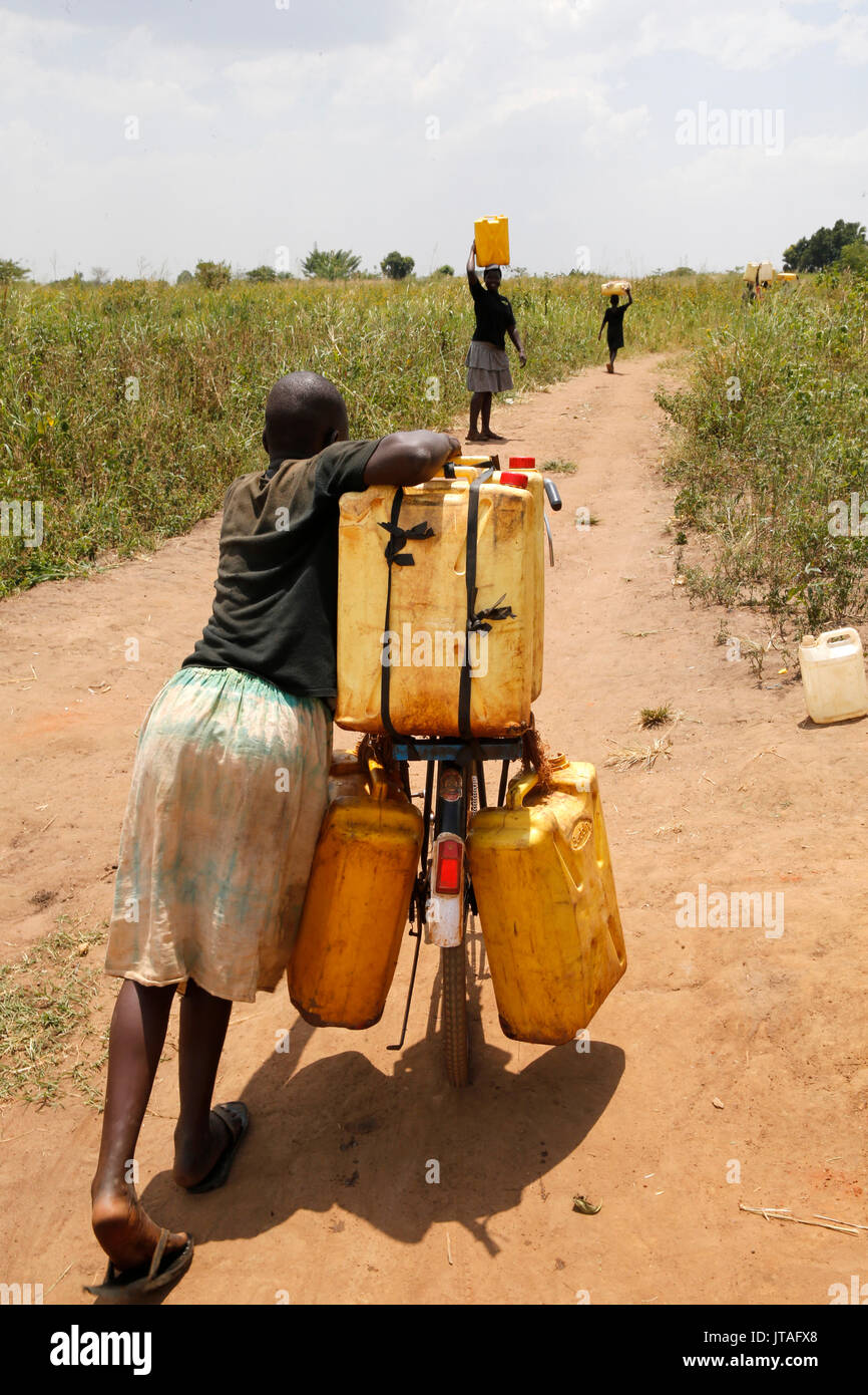 Corvée d'eau, Masindi, Ouganda, Afrique du Sud Banque D'Images
