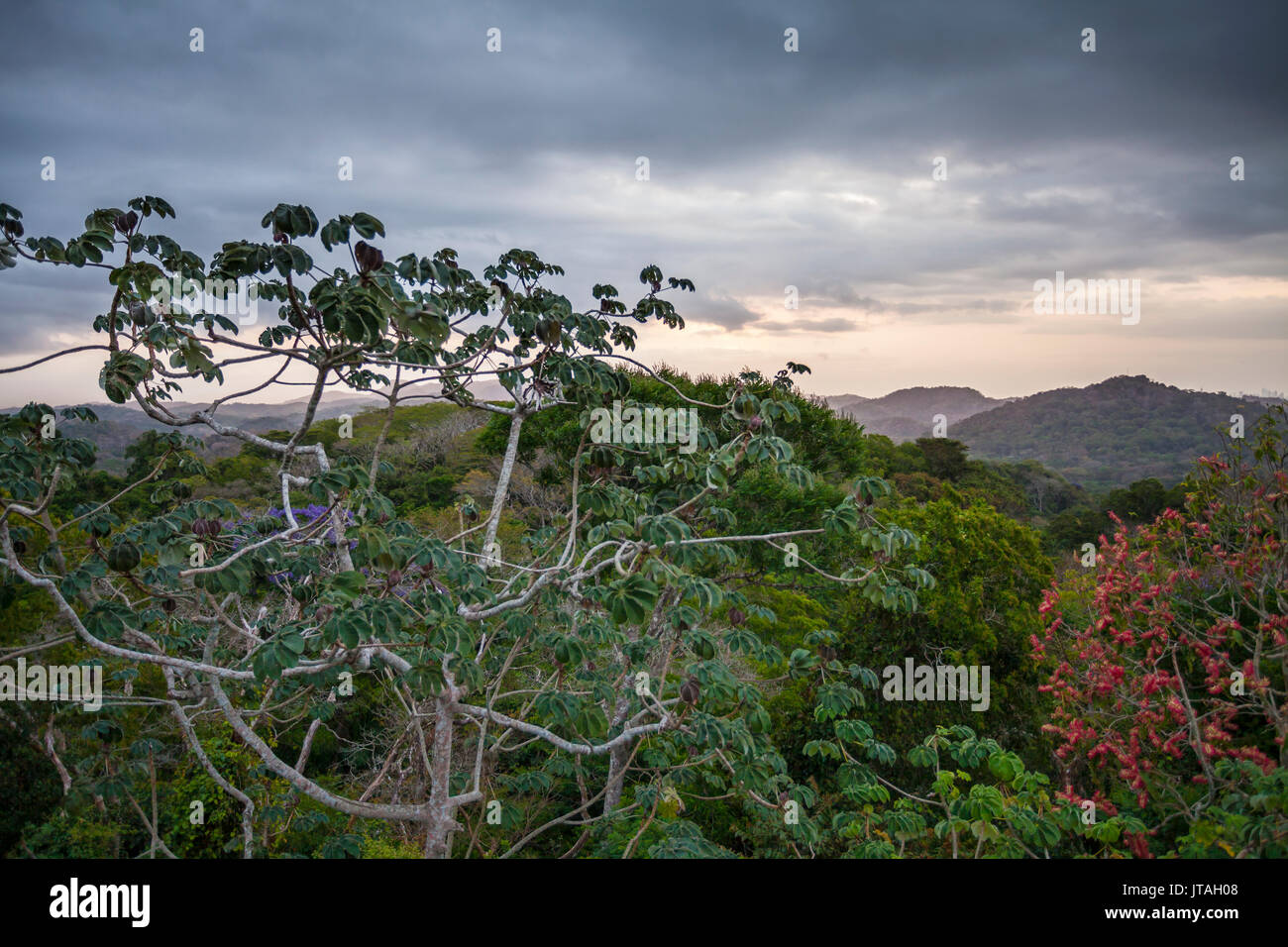 De Forêt vierge au lever du soleil vu de la tour de la canopée, Soberan-a National Park, Panama, Amérique centrale. Banque D'Images