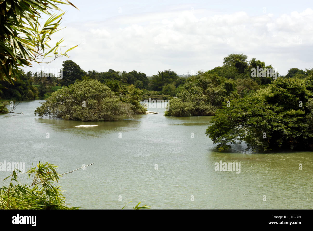 Ranganathittu Bird Sanctuary Banque D'Images