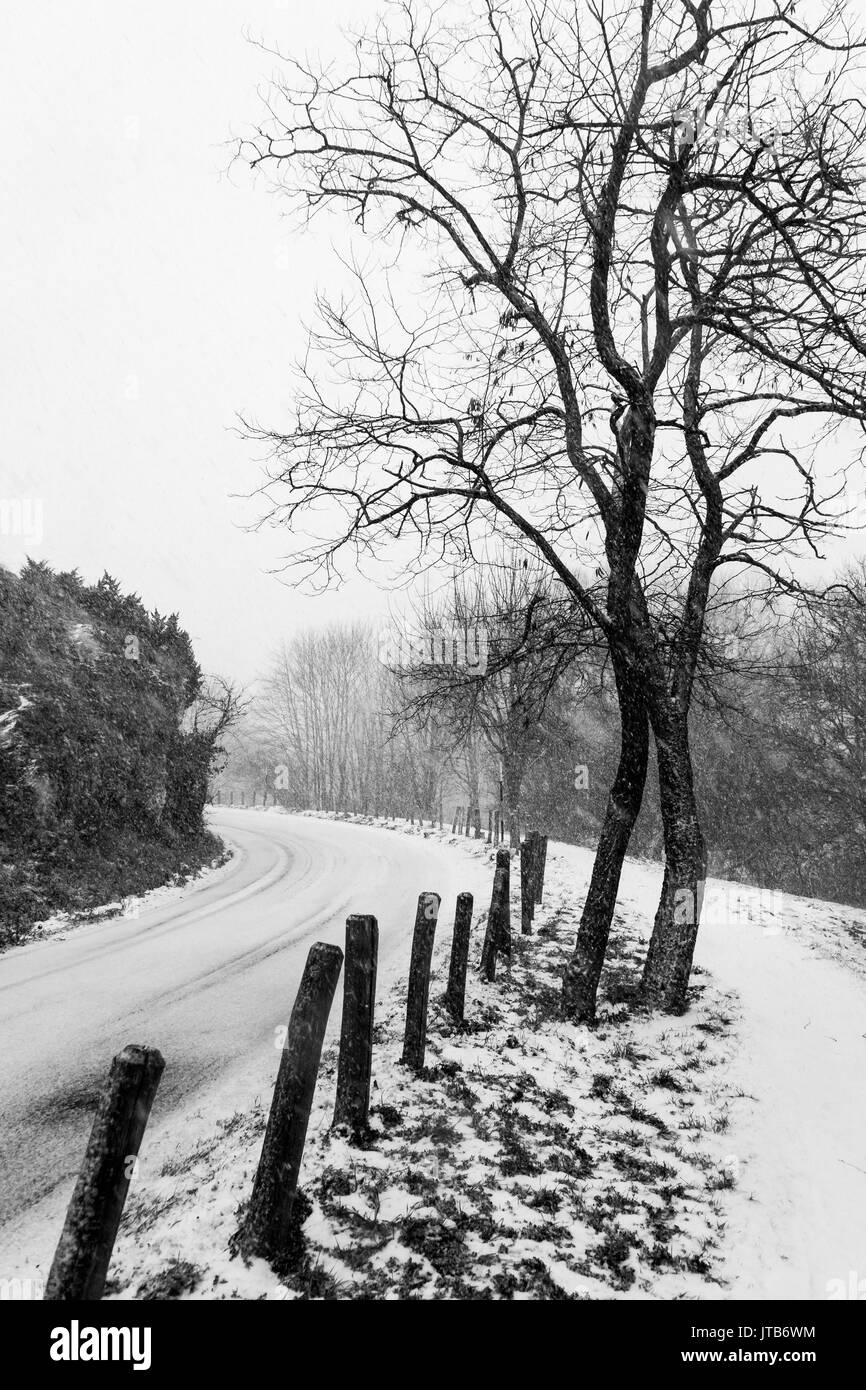 Une route sinueuse au milieu de la neige, avec un arbre sur le côté Banque D'Images