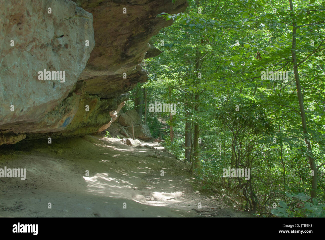 Chemin bordé d'arbres avec des roches dans l'Alun Spring Park, Fredericksburg, VA Banque D'Images