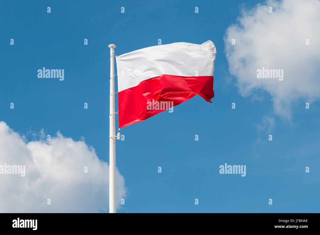 Brandissant le drapeau national de la Pologne sur un mât, couleurs nationales de la Pologne. Banque D'Images