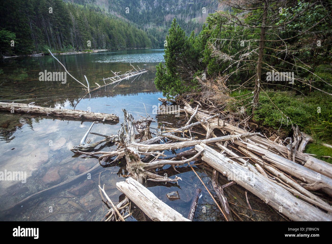 Lac glaciaire de cerne noir, dans les montagnes de Sumava jezero, Parc National, République Tchèque Banque D'Images