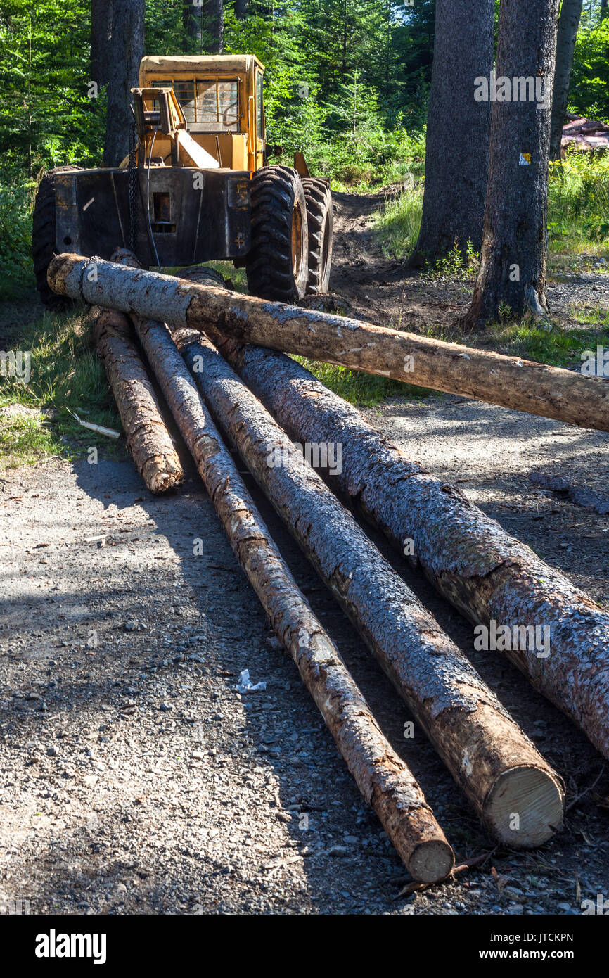 Machine forestière tirant défait les arbres, les montagnes de Sumava République Tchèque, forêt de récolte Banque D'Images