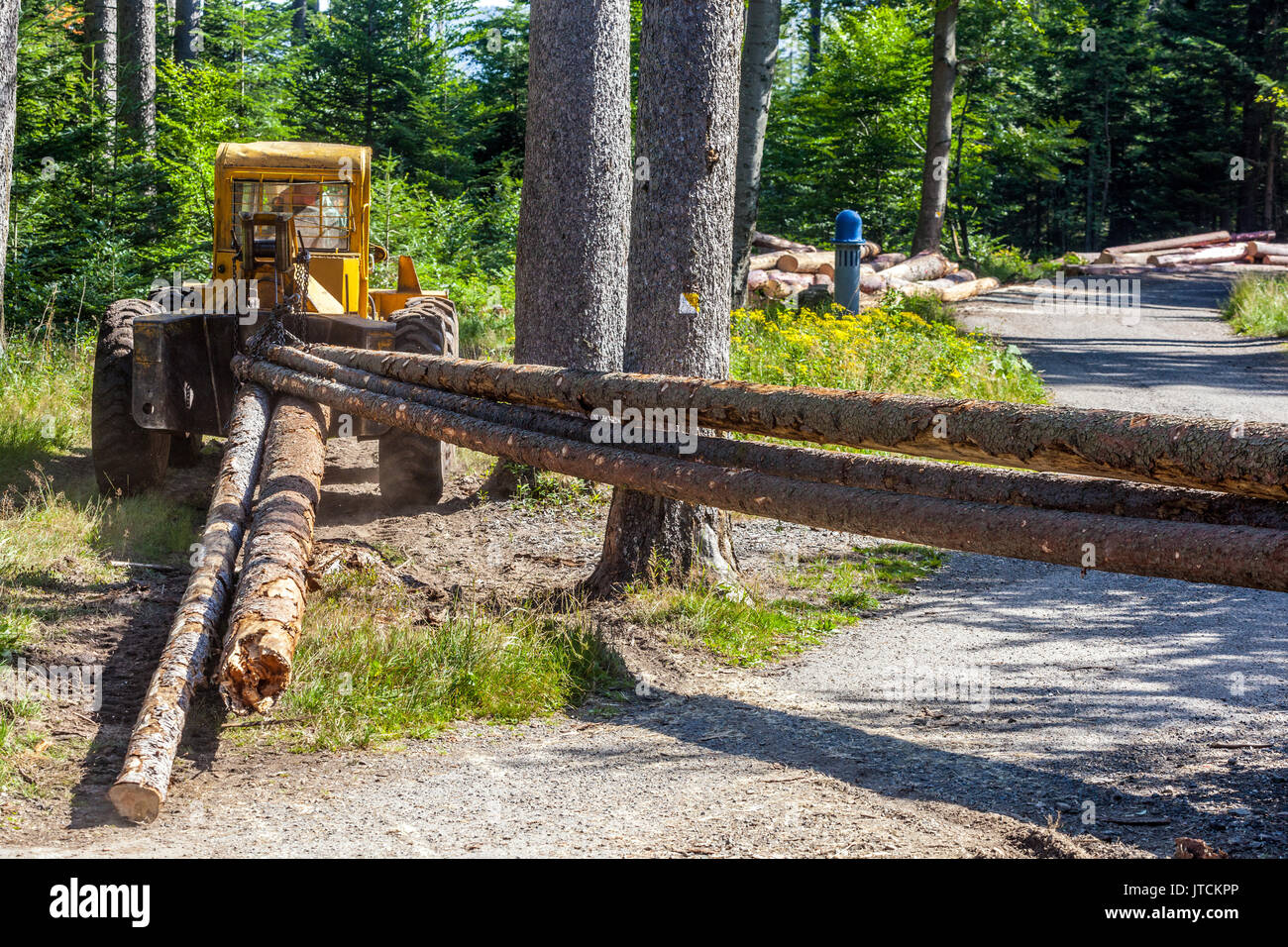 Machine forestière tirant défait les arbres, les montagnes de Sumava République Tchèque, forêt de récolte Banque D'Images