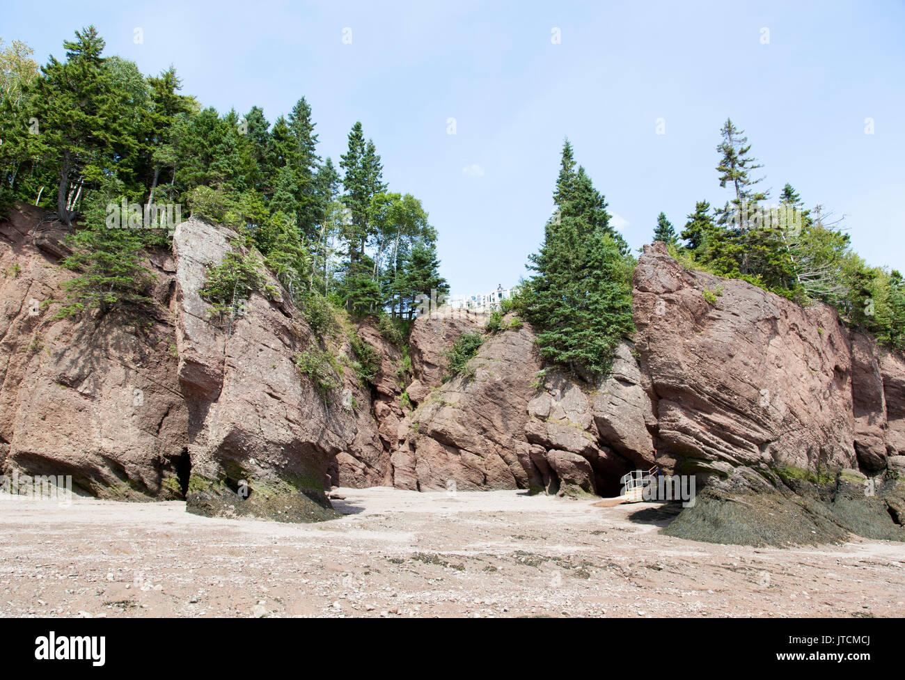 Hopewell Rocks Beach célèbre pour ses marées extrêmement élevé (Nouveau-Brunswick, Canada). Banque D'Images