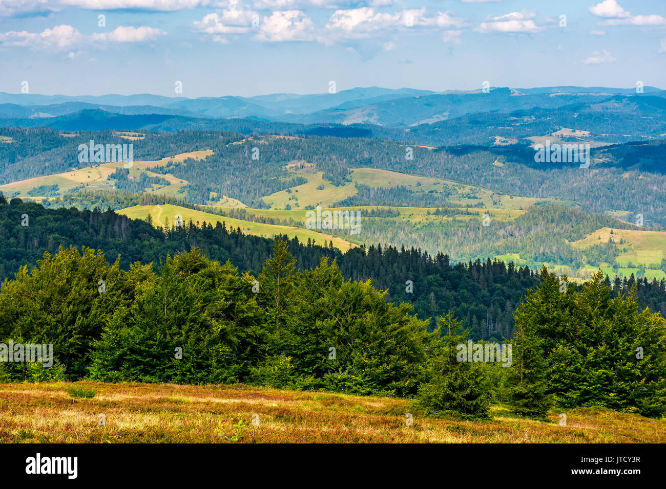 La forêt sur une colline de la chaîne des Carpates Ridge. Belle à la vallée rurale à la fin du mois d'août soir Banque D'Images