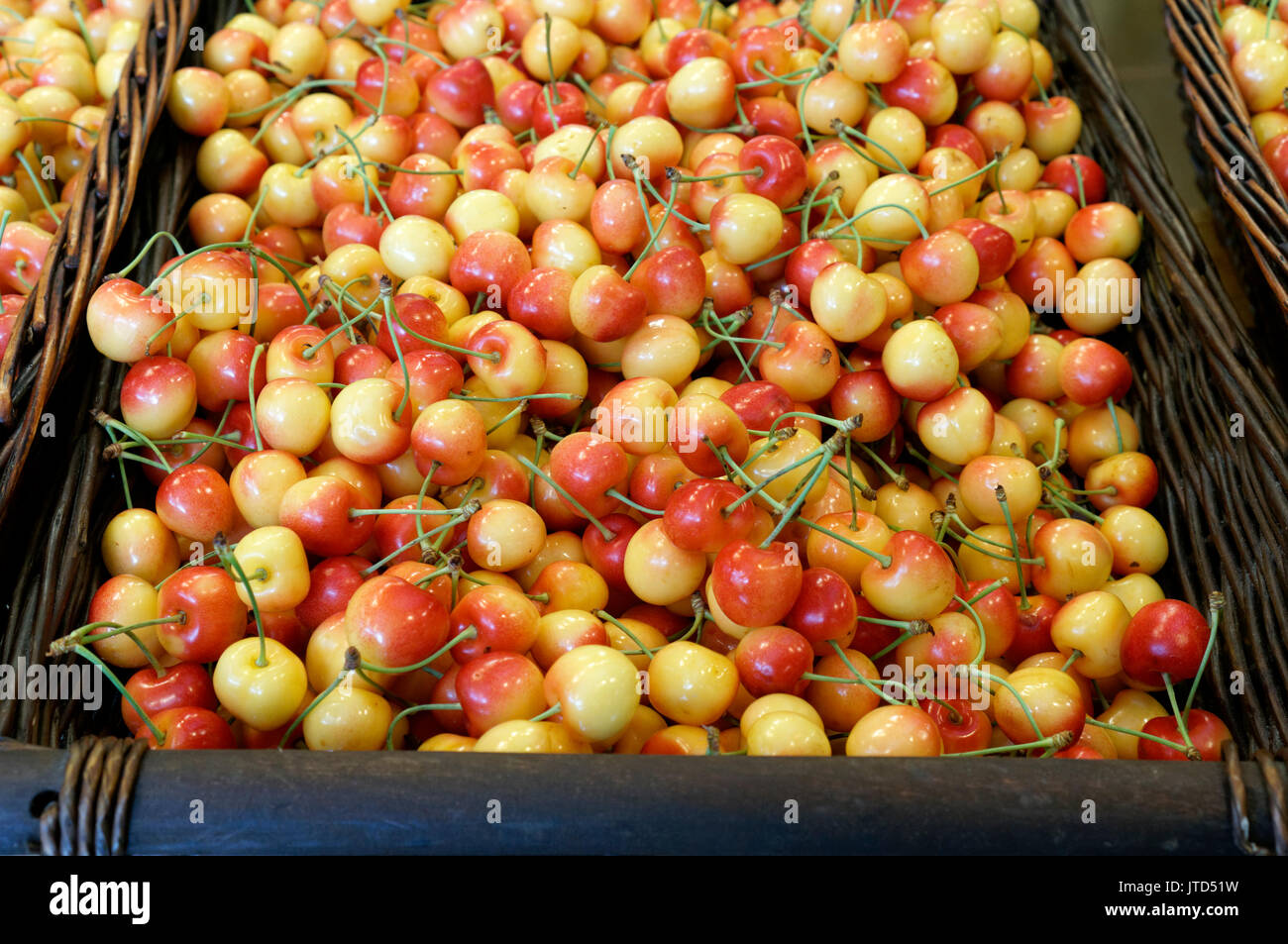 Panier de cerises fraîches Rainier exposé dans un marché, Vancouver, C.-B., Canada Banque D'Images