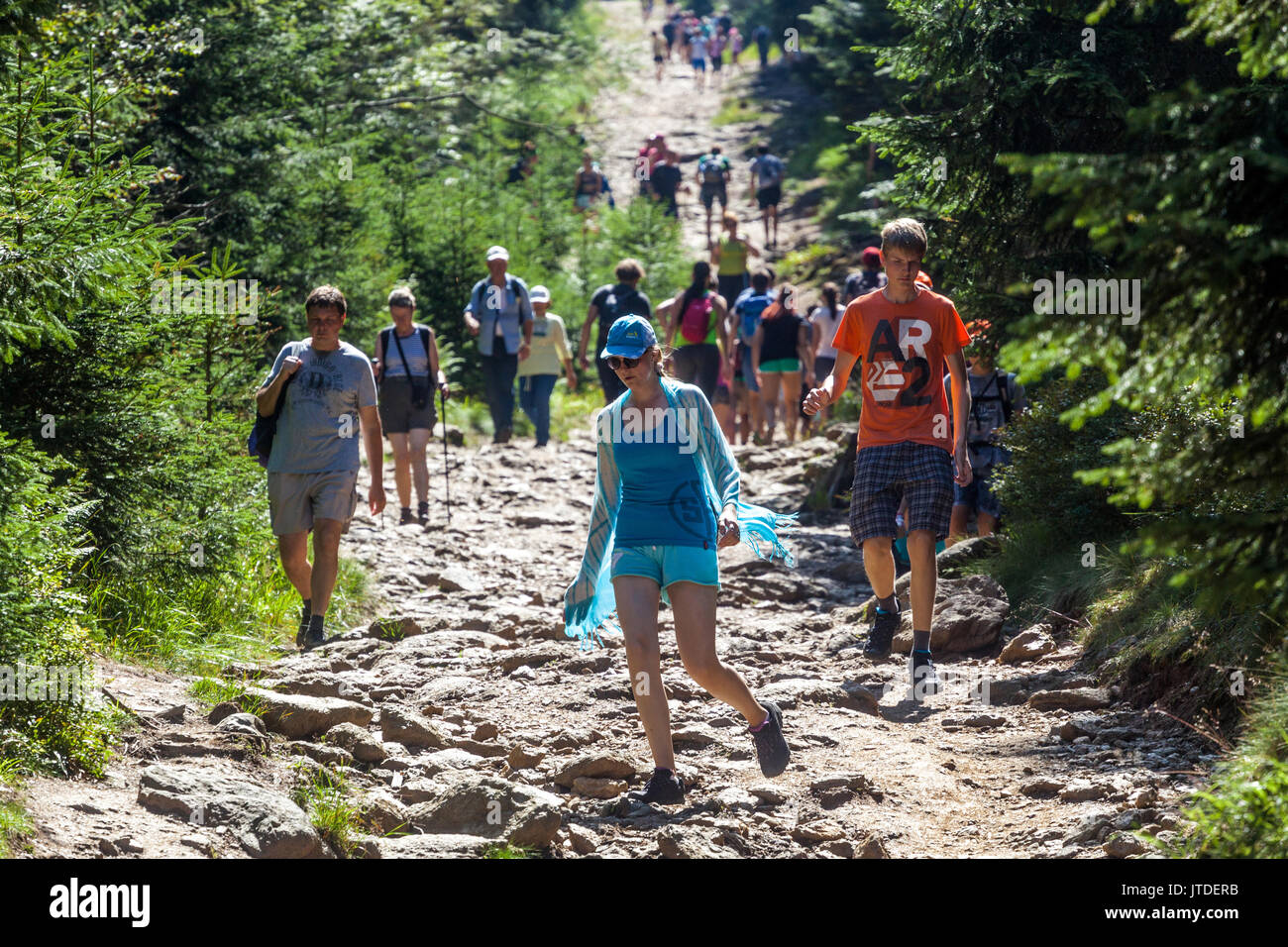 Parc national de Sumava, République tchèque, des foules de personnes marchant sur une route de montagne, République tchèque montagnes tchèques Banque D'Images