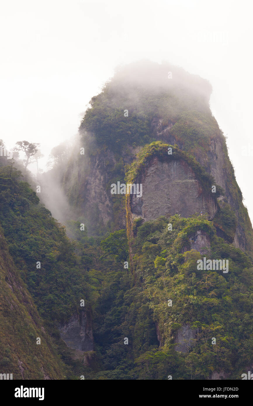 Brume autour de Cerro Trinidad dans le Parc National d'Altos de Campana, Cordillera Central, province de Panama, République du Panama. Banque D'Images