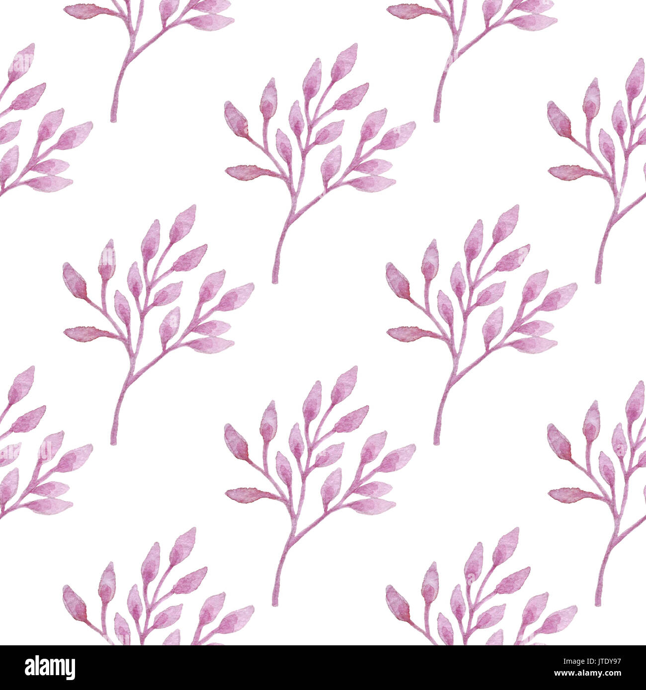 Aquarelle Floral Motif rose transparente avec la direction sur un fond blanc Banque D'Images