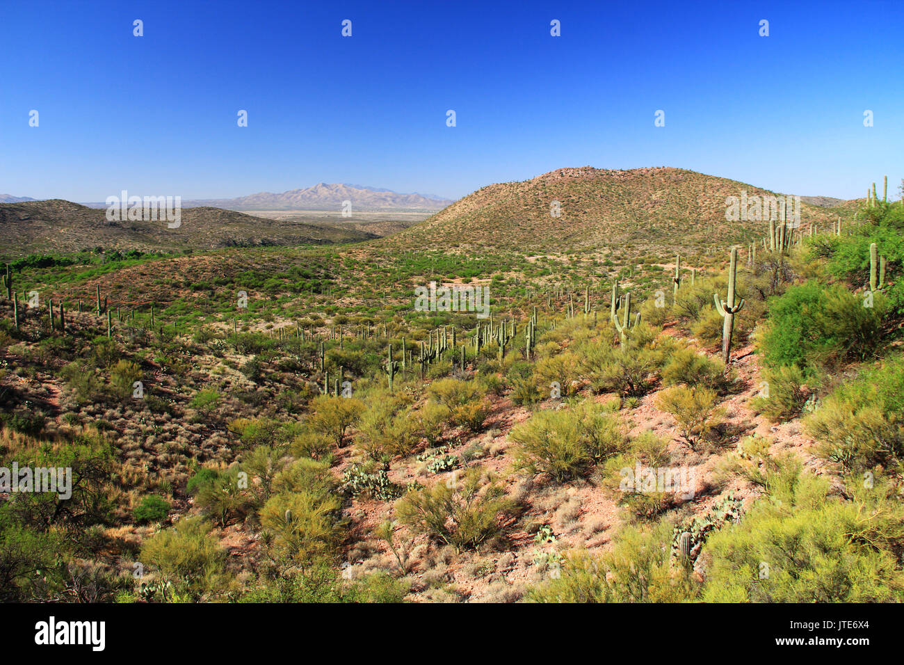 Sur la montagne du désert comme vu à la boutique de cadeaux et d'entrée de la grotte colossale de Vail Mountain Park, Arizona, USA, près de Tucson dans la sous des Banque D'Images