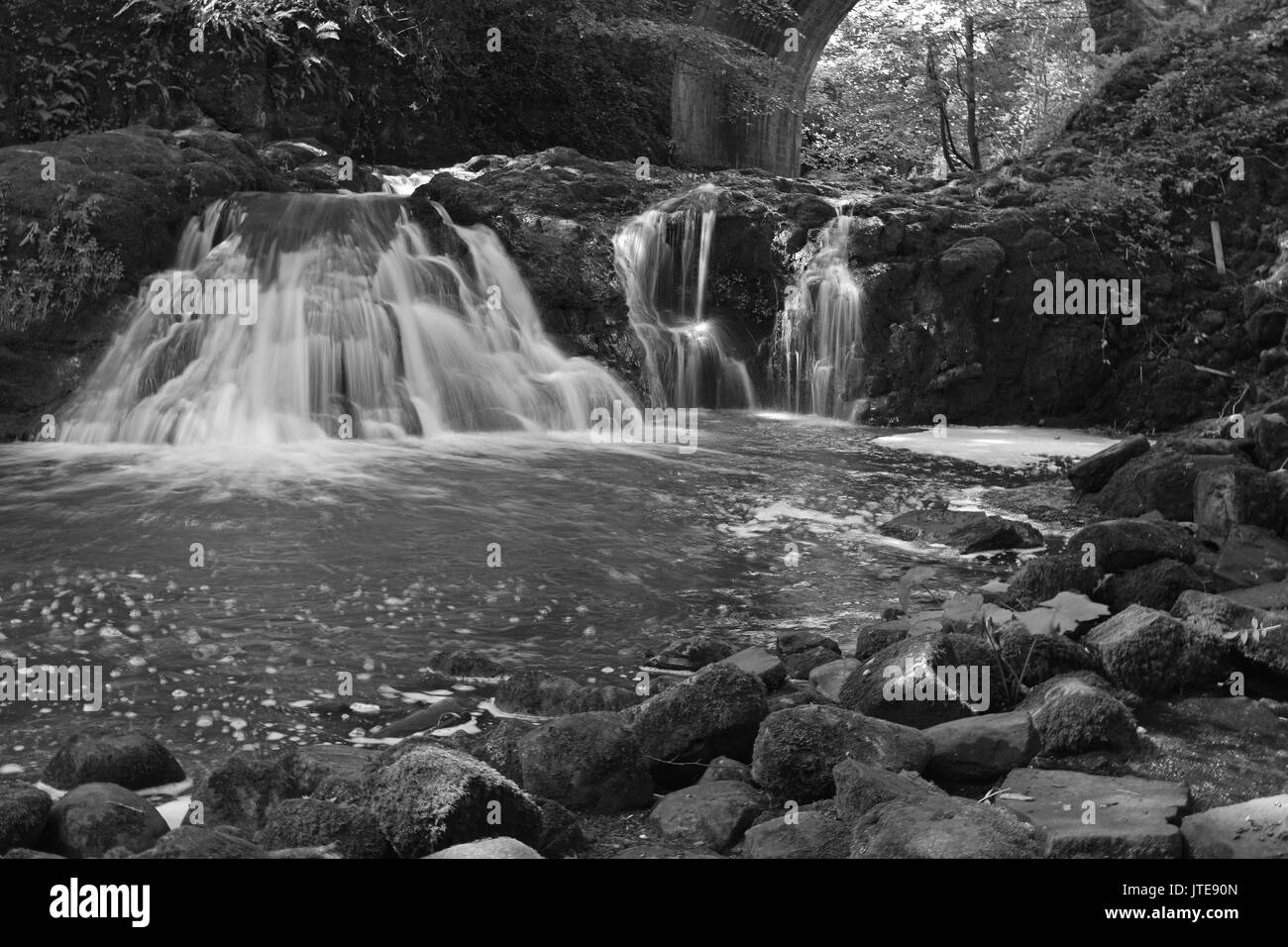 Les chutes à Arbirlot, par Arbroath, Angus , Ecosse (noir et blanc) Banque D'Images