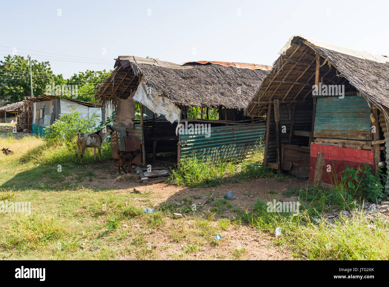 La tôle ondulée et les cabanes à toit de chaume de palmier, au Kenya Banque D'Images