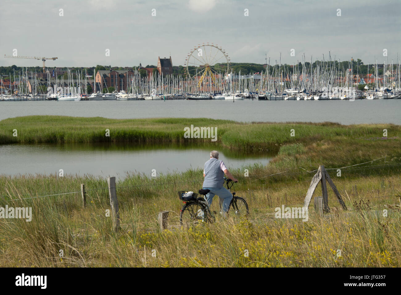 Un cycliste s'arrête sur l'Graswarder nature conservation réserve sur la côte de la mer Baltique à Heiligenhafen, Holstein, Allemagne Banque D'Images
