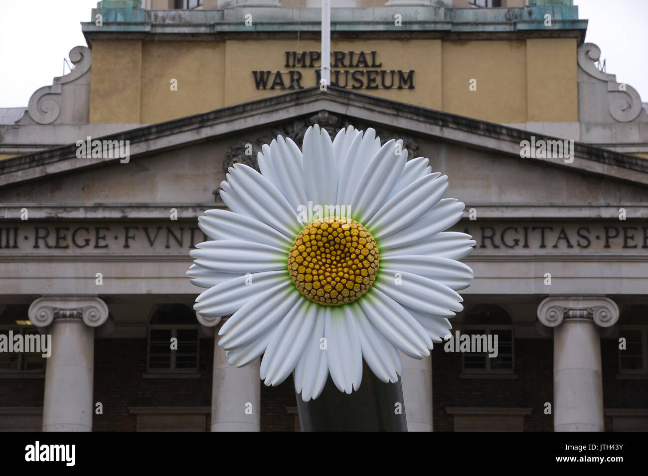 Londres, Royaume-Uni. Le 08 août, 2017. Pouvoir populaire : Lutter pour la paix exposition. Imperial War Museum, Londres, Royaume-Uni 8 août 2017 Deux grandes fleurs seront seront temporairement mis sur le 15 pouces des canons navals placé en face de IWM Londres. Des fleurs ont été choisis car ils ont été une partie importante du mouvement de la paix, de la culture du pavot blanc porté comme un symbole de la paix à l'image emblématique d'un manifestant de placer des fleurs dans les canons de fusils détenus par la police militaire américaine lors d'une manifestation contre la guerre du Vietnam en 1967. Crédit : Jeff Gilbert/Alamy Live News Banque D'Images