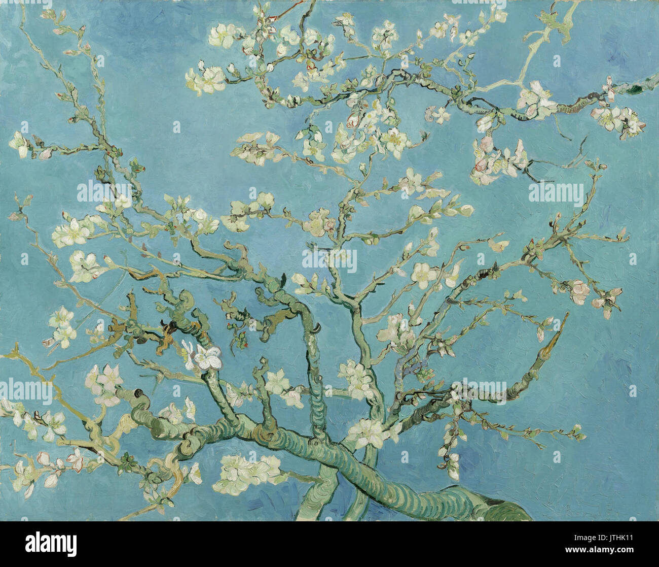 Vincent van Gogh Almond Blossom Banque D'Images