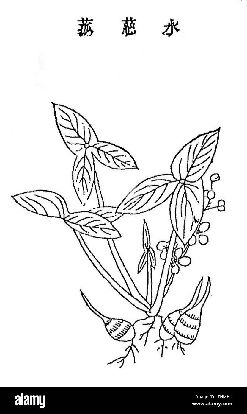 Shuicigu Banque D'Images