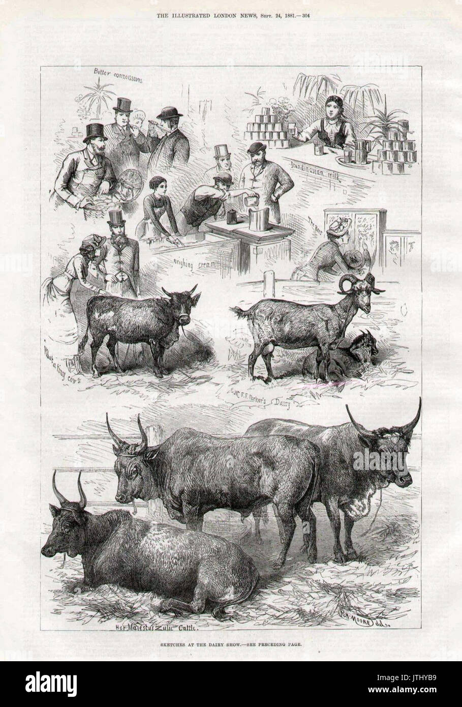 Croquis au Dairy Show, Londres ; l'Illustrated London News, 1881 Banque D'Images