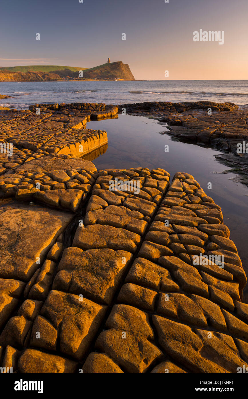 La baie de Kimmeridge dans le Dorset. Banque D'Images