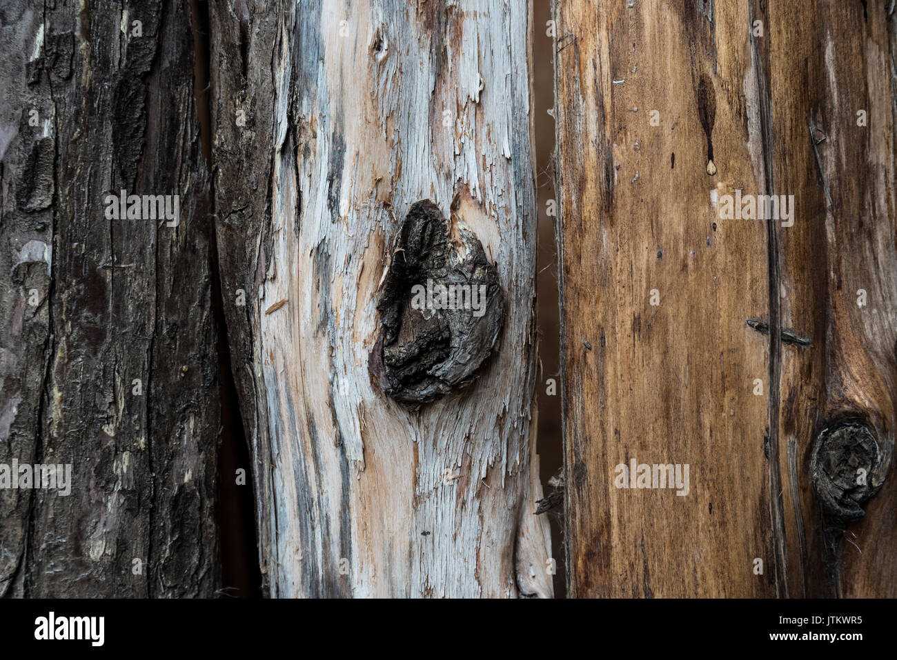 Old weathered wood bandes texture background à Addis Ababa, Ethiopie Banque D'Images