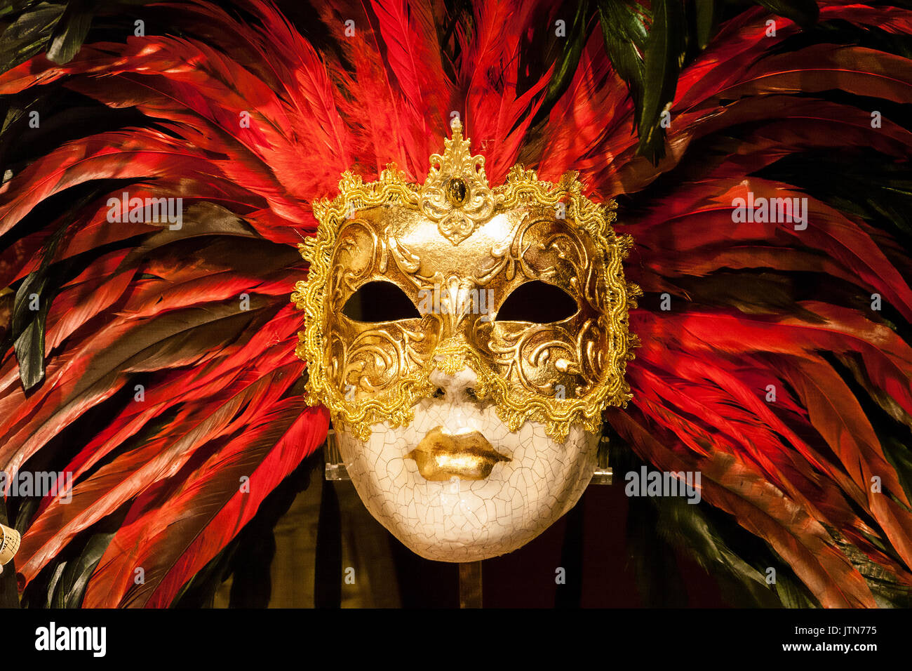 Masque de carnaval vénitien à Venise, Italie Banque D'Images