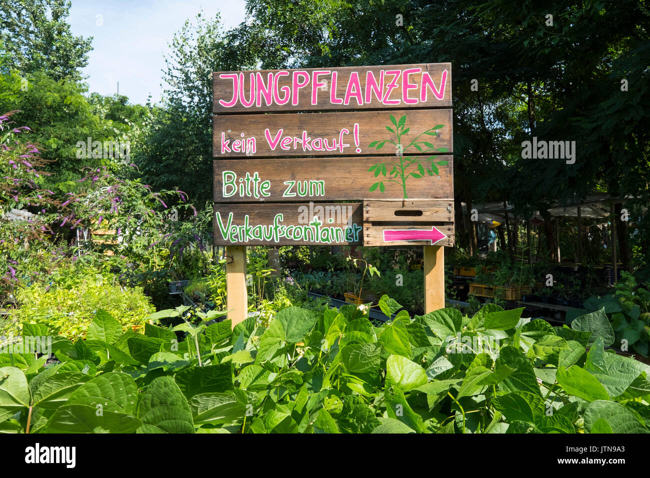 Vue de l'aménagement urbain communauté ville jardin appelé Prinzessinnengarten dans Kreuzberg, Berlin, Allemagne. Banque D'Images