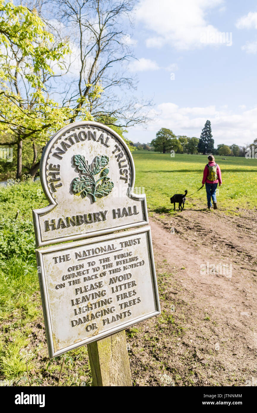 Femme de promener le chien dans le parc, Hanbury Hanbury, Worcestershire, Angleterre, RU Banque D'Images