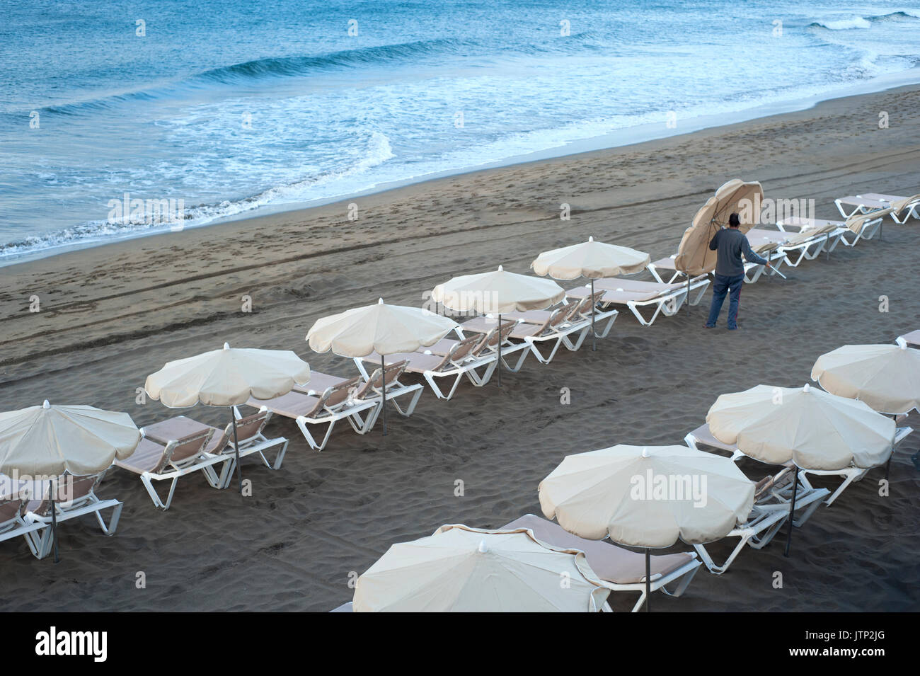 Un homme de mettre des parasols sur des chaises longues, Puerto del Carmen, Lanzarote, Espagne Banque D'Images