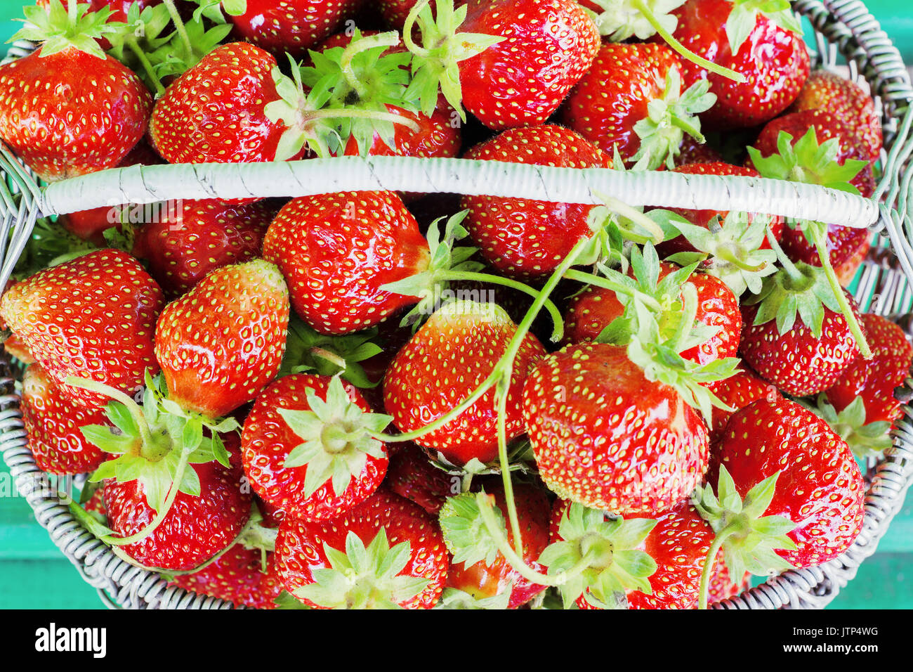 Fraises mûres et savoureuses d'un panier métallique dans la rue sur une journée ensoleillée jardin sur un banc vert Banque D'Images