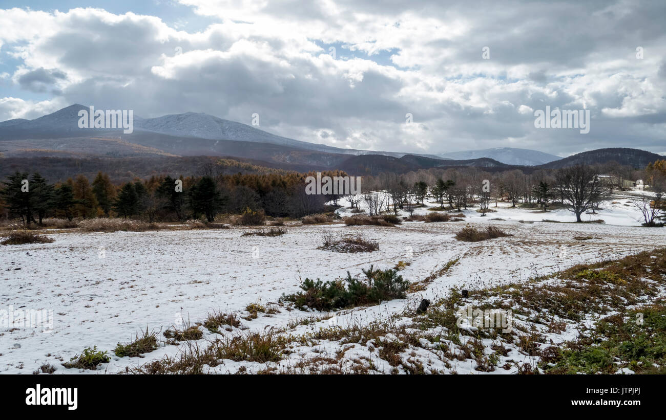 La préfecture d'Aomori, région du Tohoku, Japon 2014 Banque D'Images