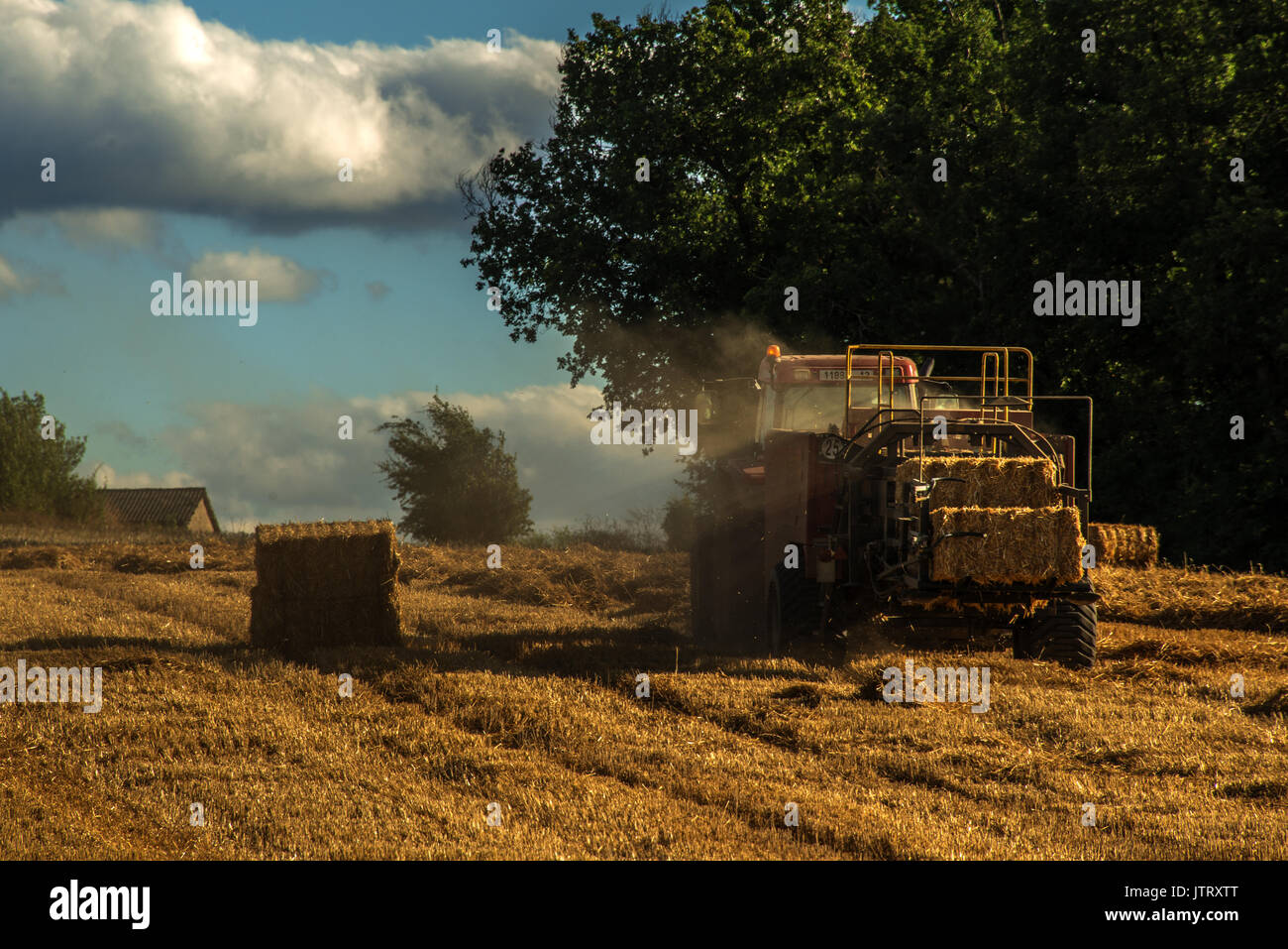 Vue arrière d'une moissonneuse d'été en cours, la mise en balles de foin. occitanie, France. Banque D'Images