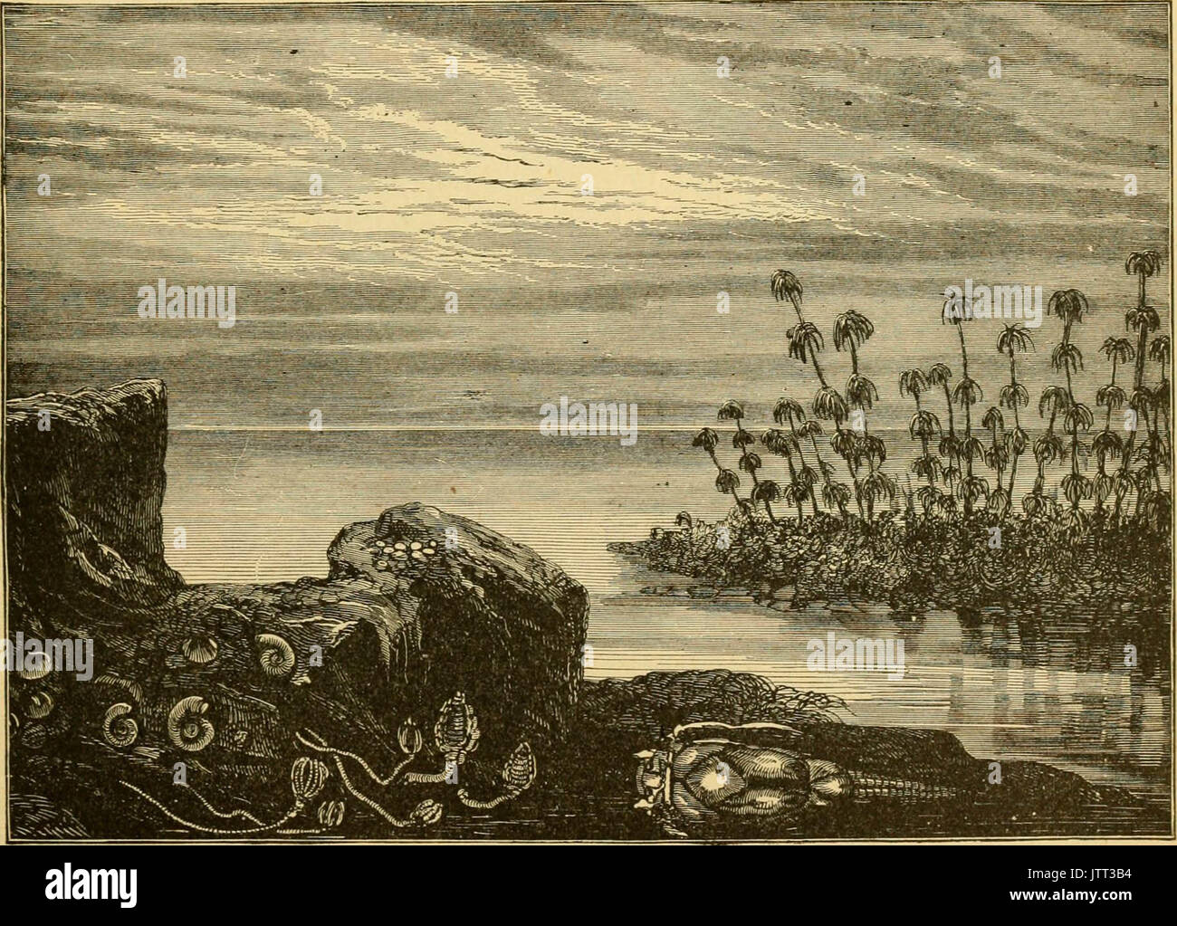 L'histoire de 'Ridpath du monde ; d'être un compte de l'origine ethnique, les biens immobiliers, les primitives des migrations anciennes, des conditions sociales et de présenter les principales familles de promesse d'hommes ..' (1897) Banque D'Images