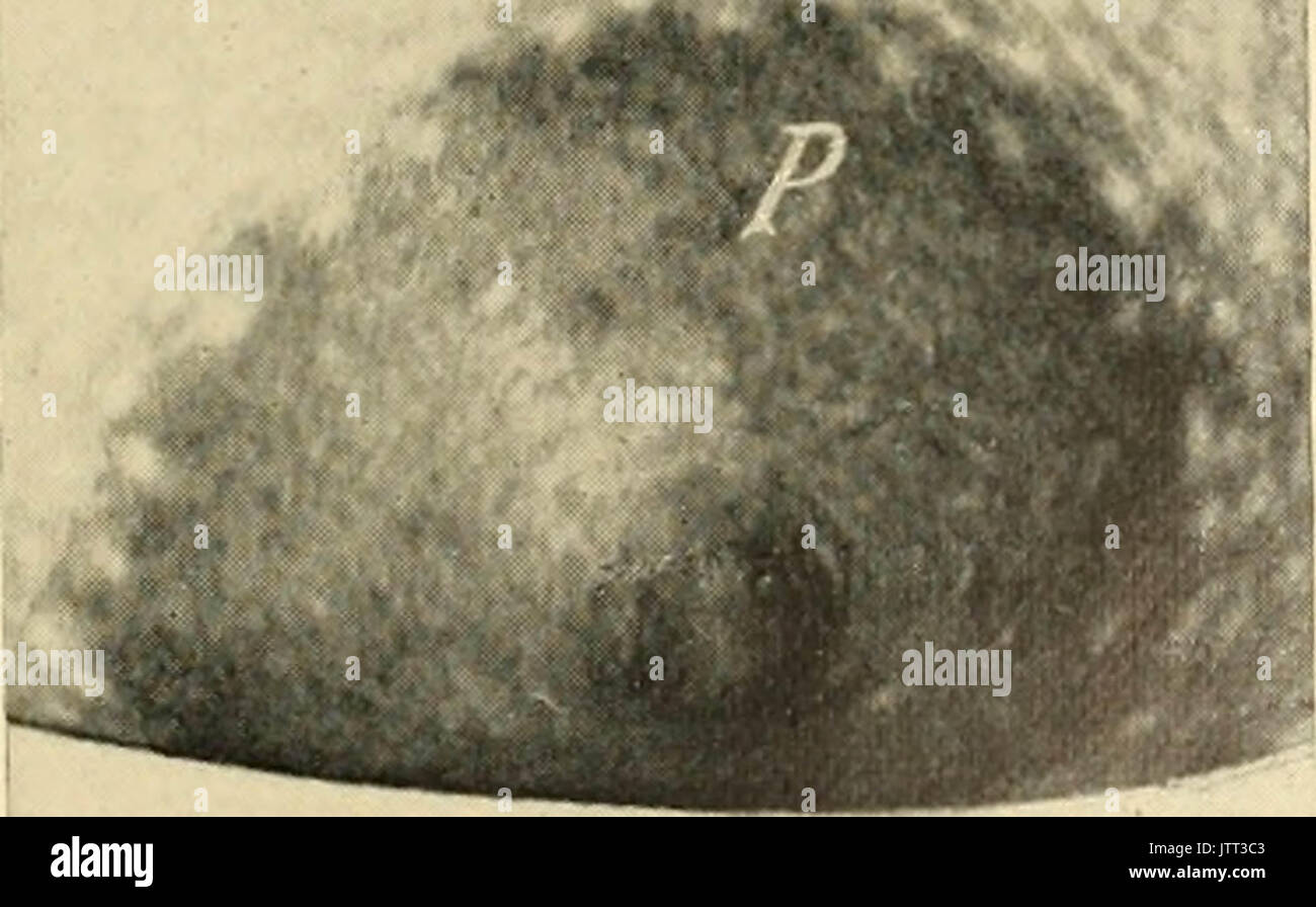 L'histoire de 'Ridpath du monde ; d'être un compte de l'origine ethnique, les biens immobiliers, les primitives des migrations anciennes, des conditions sociales et de présenter les principales familles de promesse d'hommes ..' (1897) Banque D'Images