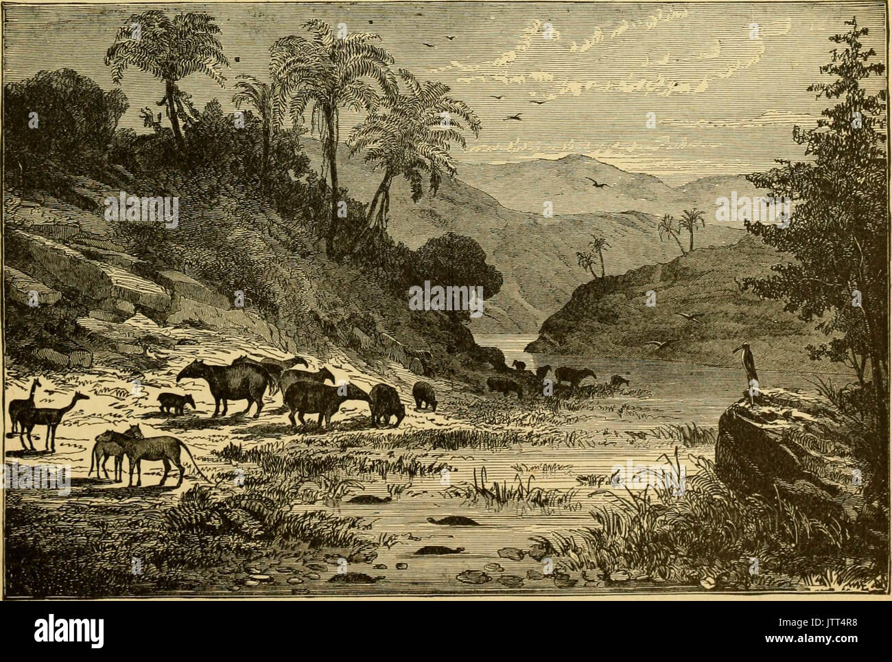 L'histoire de 'Ridpath du monde ; d'être un compte de l'origine ethnique, les biens immobiliers, les primitives des migrations anciennes, des conditions sociales et de présenter les principales familles de promesse d'hommes ..' (1897) Banque D'Images