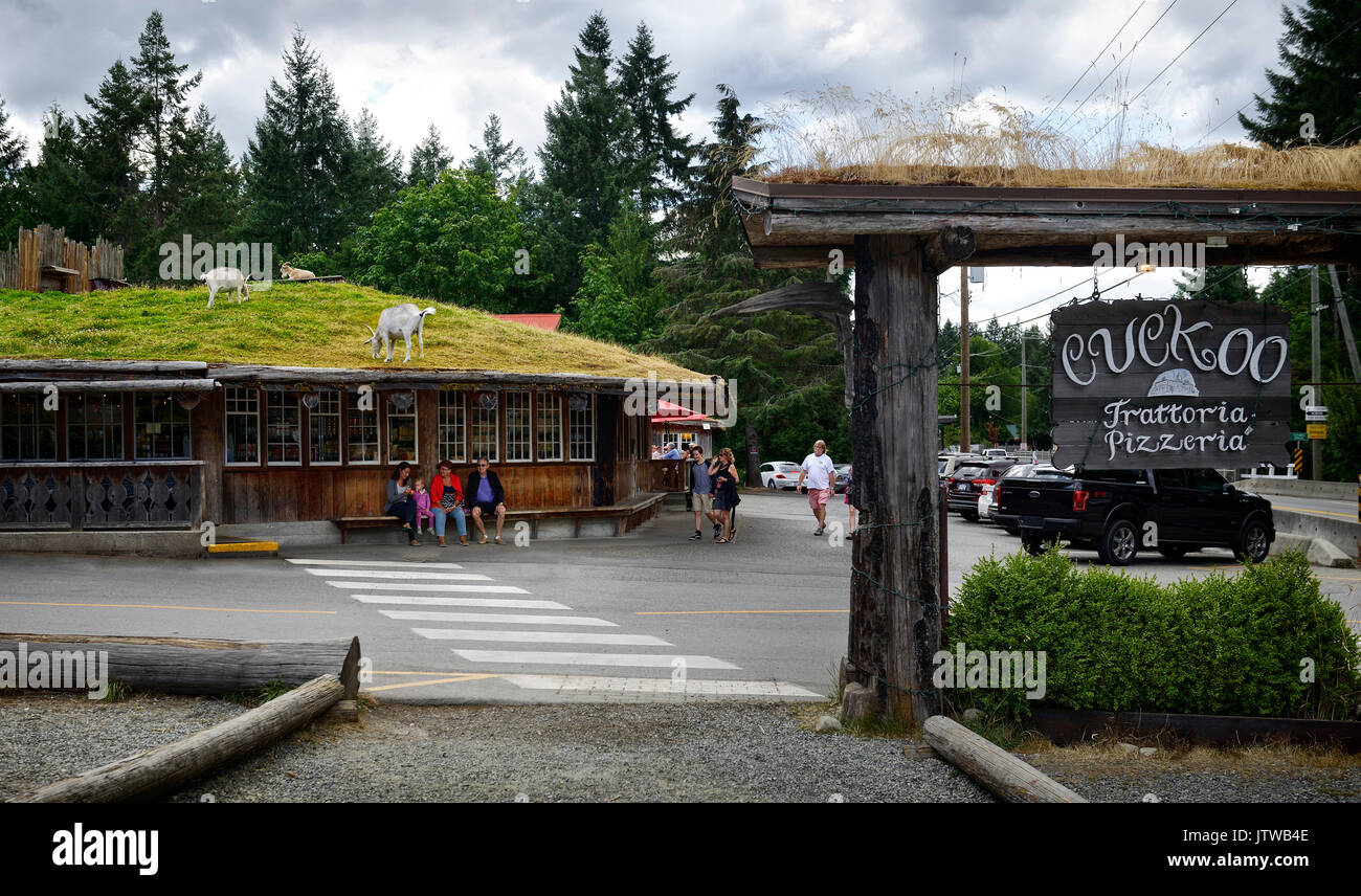 Chèvres sur le toit et coucou frattoria pizzeria au célèbre Vieux marché de pays à Coombs, île de Vancouver, BC, Canada 2017 Banque D'Images