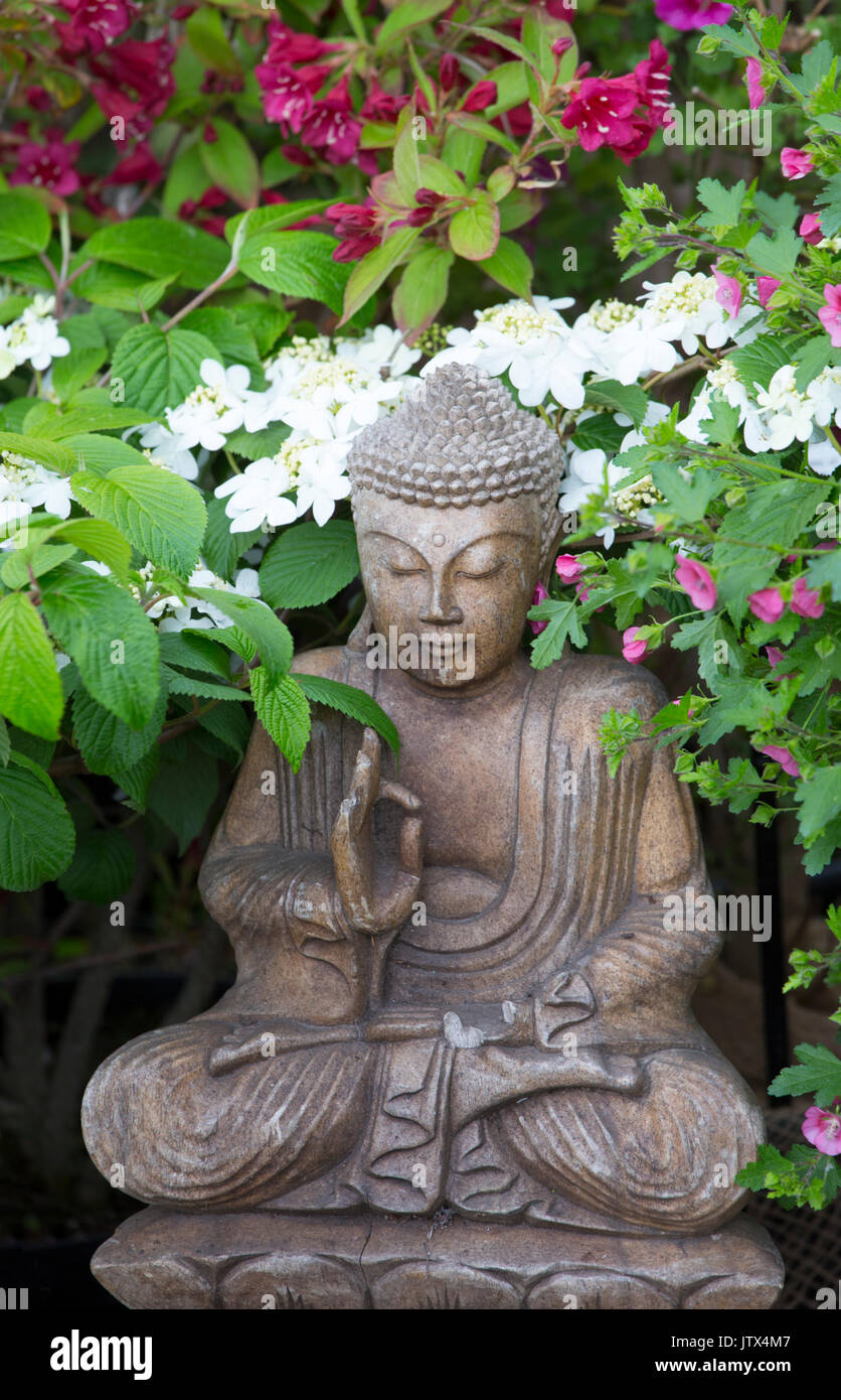 Ornement de jardin bouddha et Viburnum Plicatum 'usine' aresii Banque D'Images Ornement de jardin bouddha et Viburnum Plicatum 'usine' aresii Banque D'Images