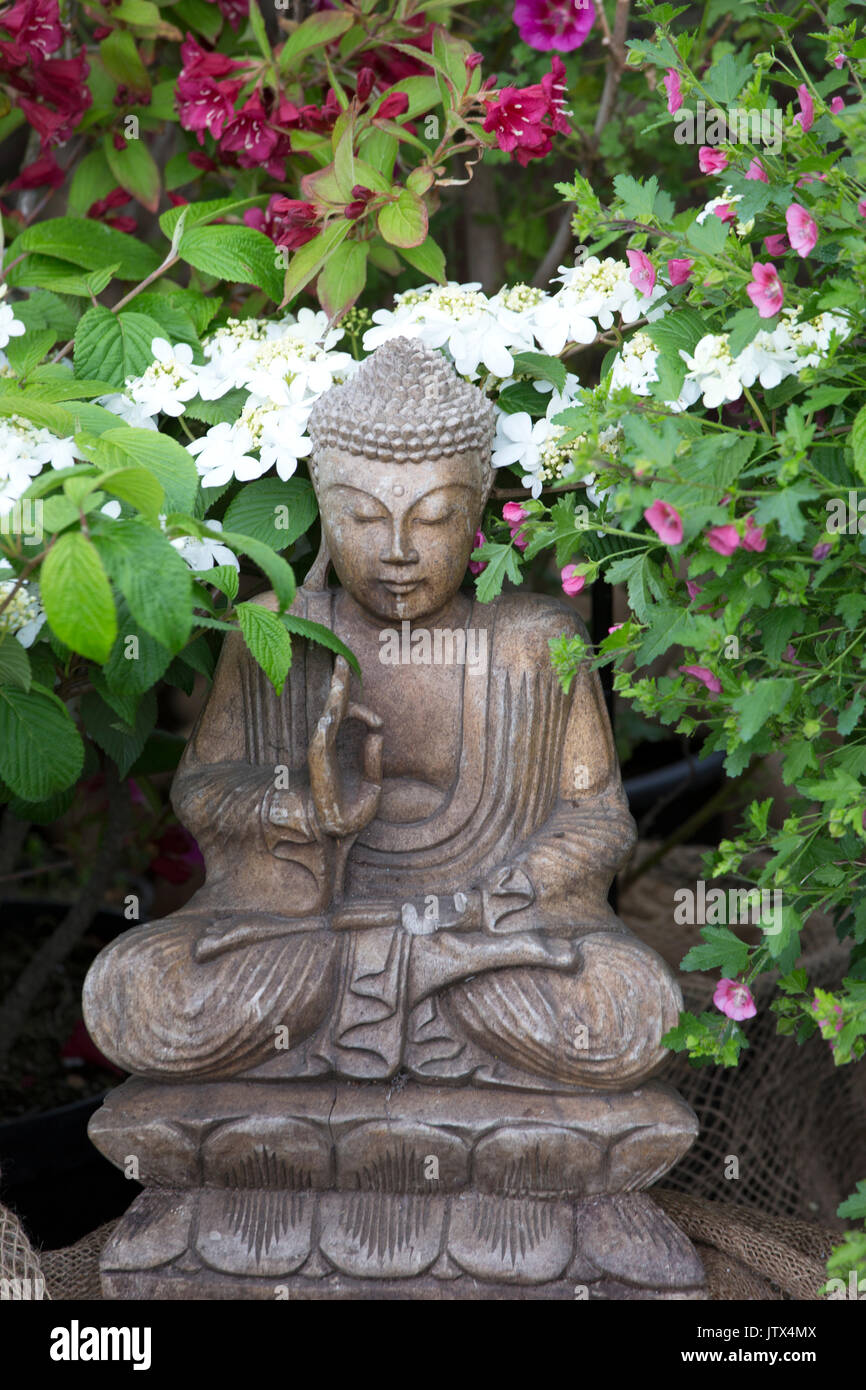 Ornement de jardin bouddha et Viburnum Plicatum 'usine' aresii Banque D'Images Ornement de jardin bouddha et Viburnum Plicatum 'usine' aresii Banque D'Images